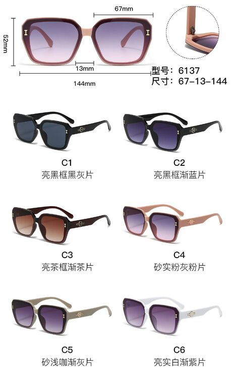 PC plastic sunglasses with metal hinge 6137W