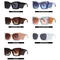 Plastic cat-eye sunglasses for women 1051-EL