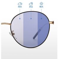 Photochromic glasses with blue light and UV protection 9628-GT