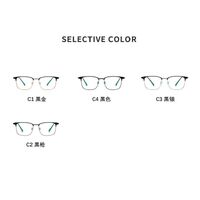 Titanium frame SANTA T9010