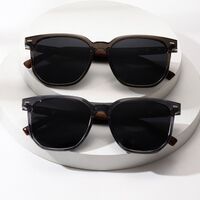 Пластиковые поляризационные солнцезащитные очки Elit ZT-10057-EL