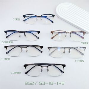 Hybrid metal + TR90 frame SANTA S9527