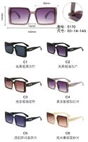 PC plastic sunglasses with metal hinge 5170W