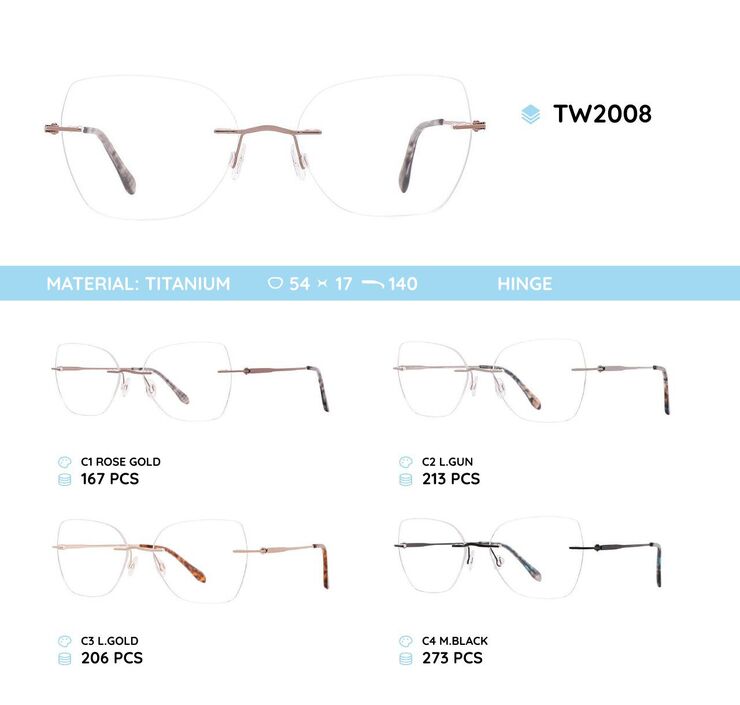Titanium frames TW2008