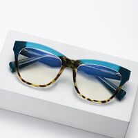 Plastic frame with anti-blue light protection lenses, with spring hinges Elit 5737-EL