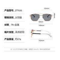 Plastic + metal retro sunglasses Elit ZTT030-EL