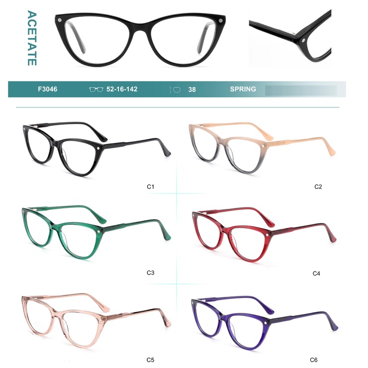 Acetate plastic frames for glasses with spring hinges Big City F3046