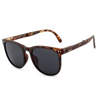 Солнцезащитные пластиковые портативные очки KY315-3焦下