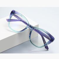Plastic TR90 frames for glasses with Blue Ray Cut protection and flex hinges FOCUS FCS2148