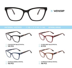 Plastic acetate eyeglasses frame with spring hinges WD1658P