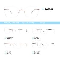 Titanium frames TW2004