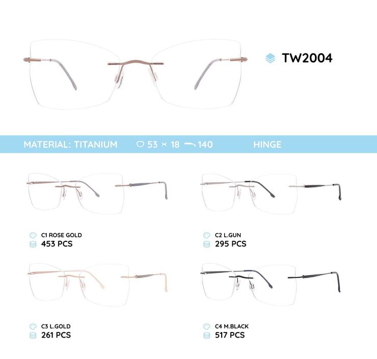 Titanium frames TW2004