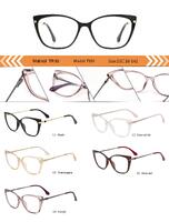 Оправа пластиковая из TR90 женская с флексом T951-DA