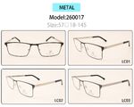Metal eyeglasses frame for men with spring hinges 260017 (item in stock)
