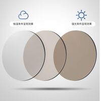 Photochromic glasses with blue light and UV protection 9684-GT