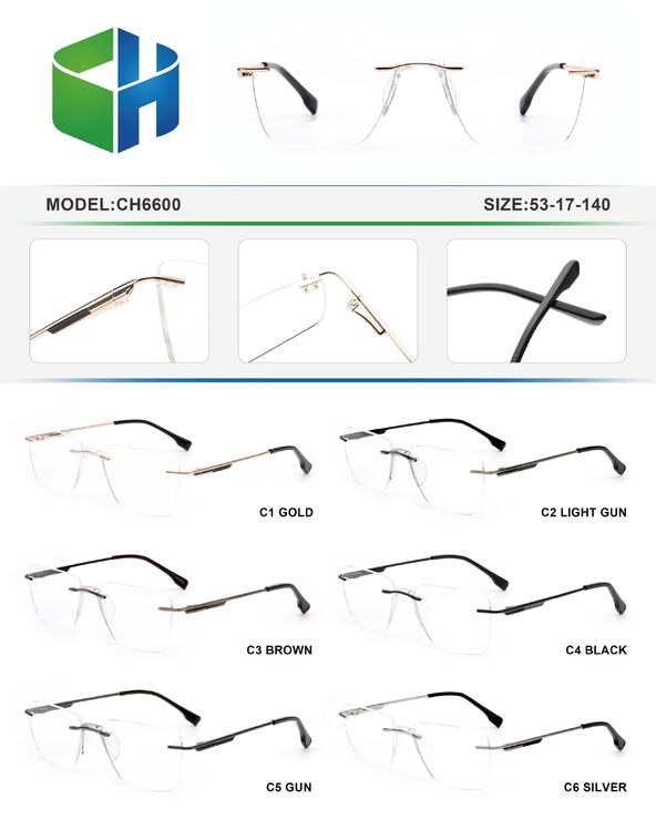 Оправа металлическая безободковая с флексом CH6600-DA