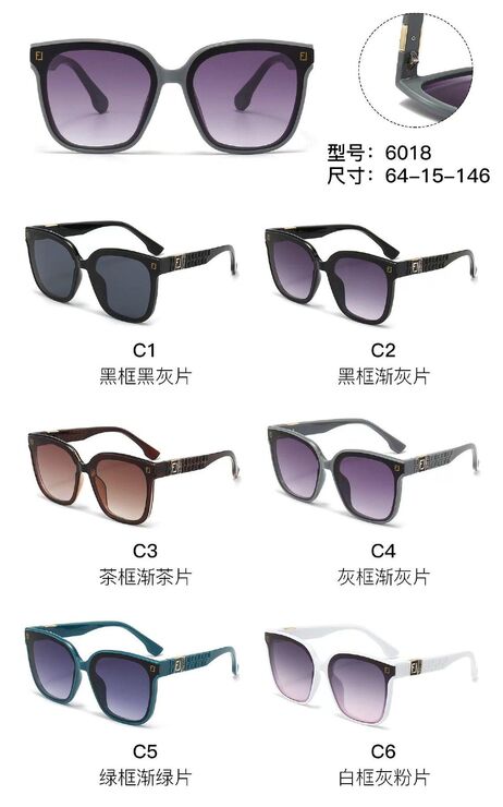 PC plastic sunglasses with metal hinge 6018W