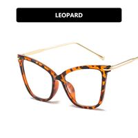 Очки пластиковые женские с защитой от синего света 2460-8011-97152-PN