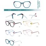 Plastic frames for glasses, acetate lamination with spring hinges Big City BL-2802