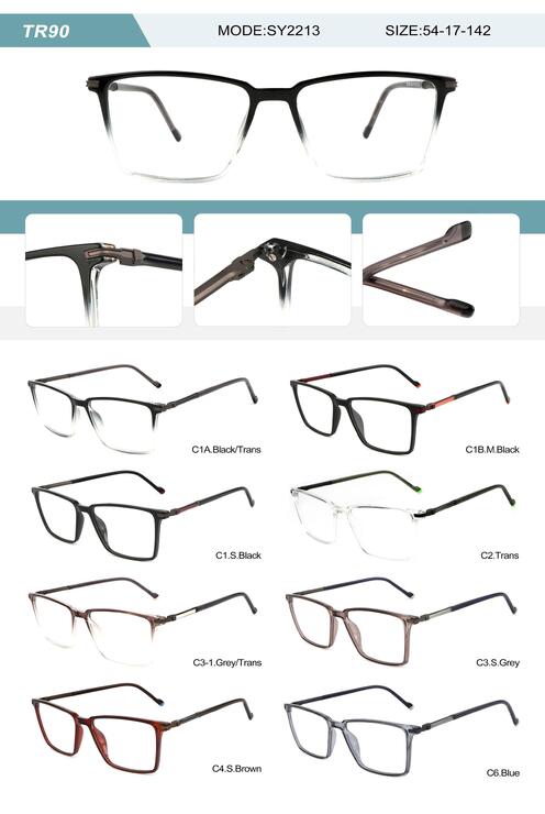 Plastic TR90 frame for men with spring hinges SY2213-DA