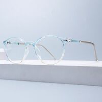 Combined TR90 + metal frame with anti-blue light protection lenses Elit TR1604-EL