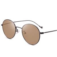 Photochromic glasses with blue light and UV protection 9630-2-GT