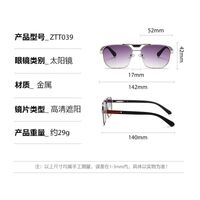 Metal retro sunglasses Elit ZTT039-EL