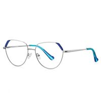 Metal Blue Blocker frames for glasses, with flex hinges MORE FCS3079