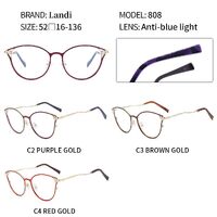 Очки защитные металлические с антибликовым покрытием Landi LD808