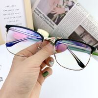 Hybrid frame, metal + plastic, with Blue Block coating SANTA 1568