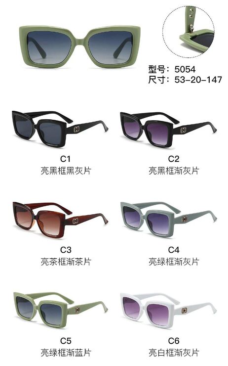 Солнцезащитные пластиковые очки из поликарбоната с металлическим шарниром 5054W