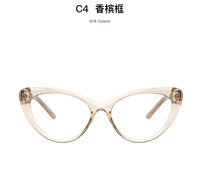 Plastic frames for glasses TR90+CA material (flex hinges) FOCUS FCS2020