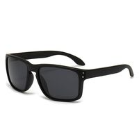 Polarized plastic TR90 sunglasses with UV400 protection 2973-GT