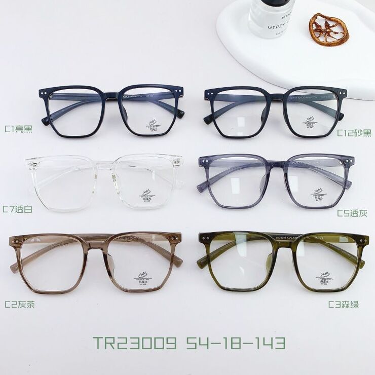 TR90 plastic frame with Blue Block coating SANTA TR23009