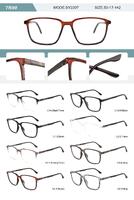Plastic TR90 frame for men with spring hinges SY2207-DA