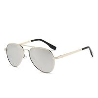 Polarized metal sunglasses with UV400 protection for kids 3025L-3-GT