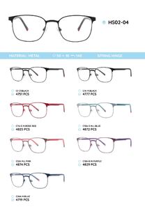 Металлическая оправа с дужками из пластика TR-90 HS02-04