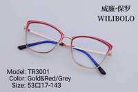 Оправа металл + TR90 ультратонкая с флексом Wilibolo TR3001