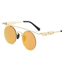 Polarized metal sunglasses with UV400 protection 2952-GT