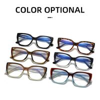 Plastic frame with anti-blue light protection lenses, with spring hinges Elit 5704-EL