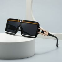 Plastic retro sunglasses Elit LH175-EL