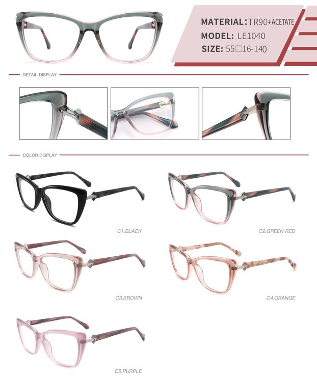 Plastic TR90 and acetate frame with spring hinges LE1040-DA