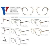 Metal frame with spring hinges CH6156-DA