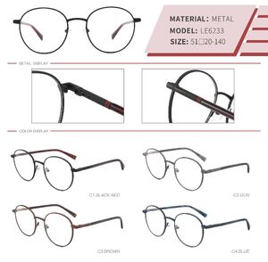 Metal frame for men LE6233-DA