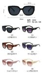 PC plastic sunglasses with plastic hinge 3222W
