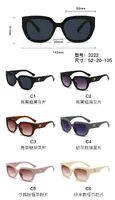 PC plastic sunglasses with plastic hinge 3222W