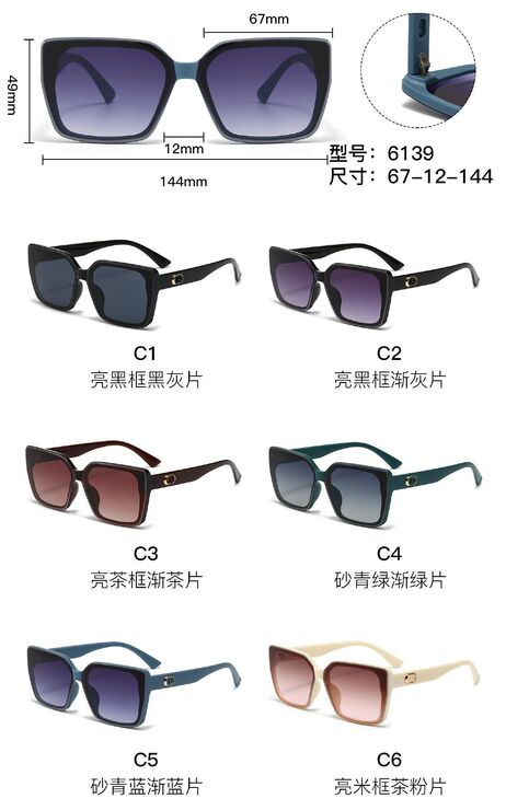 Солнцезащитные пластиковые очки из поликарбоната с металлическим шарниром 6139W