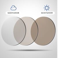 Photochromic glasses with blue light and UV protection 9707-GT