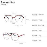 TR90 plastic frame or glasses with blue light protection, with spring hinges FA87206