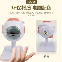 Anatomical eye model, collapsible, scale 3:1